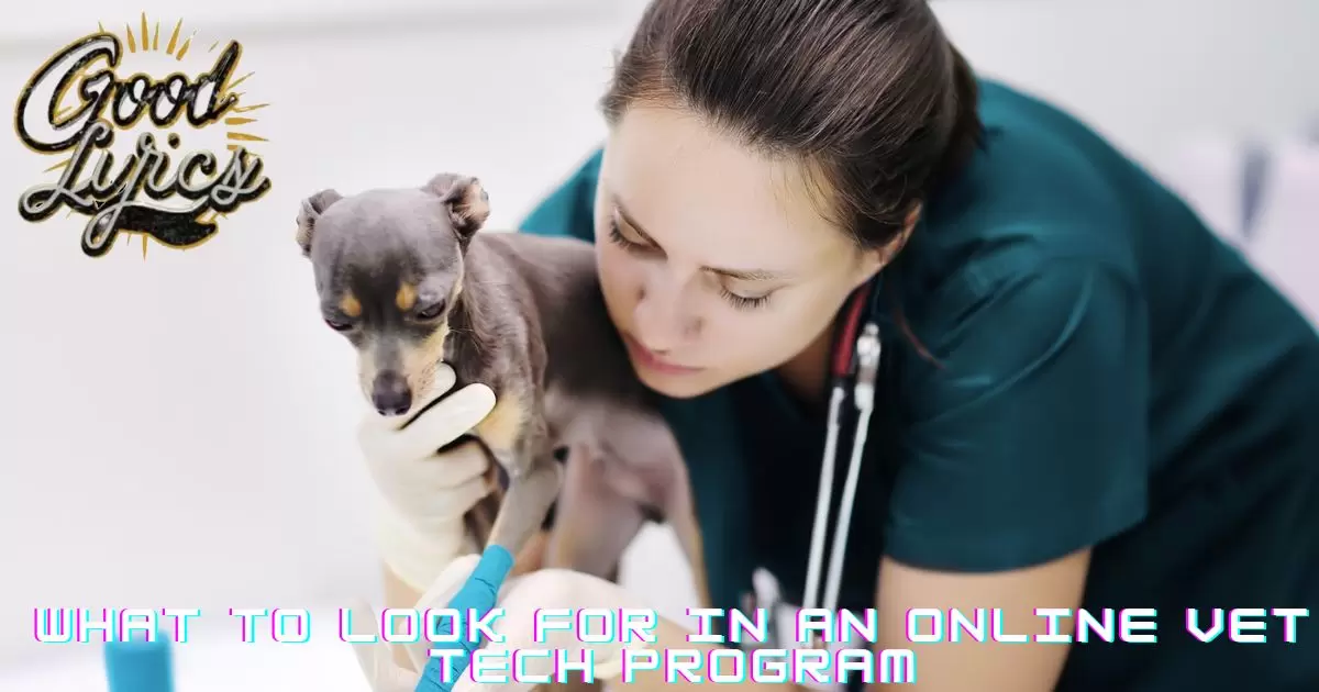 What to Look for in an Online Vet Tech Program