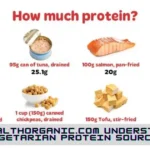 WellHealthOrganic.Com Understanding Vegetarian Protein Sources